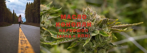 ешки Дмитриев