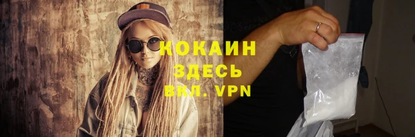 ешки Дмитриев