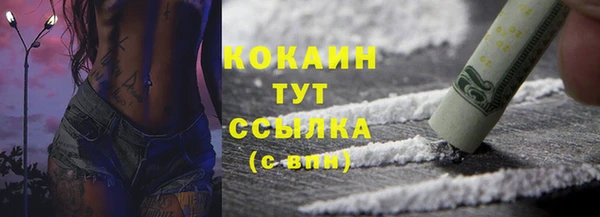 ешки Дмитриев
