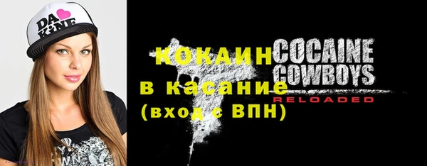 крисы Дмитровск