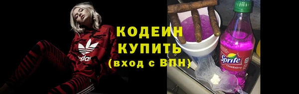 ешки Дмитриев