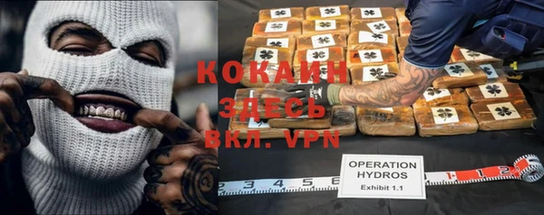 крисы Дмитровск