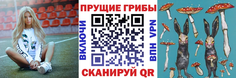 Купить  Барыш  Галлюциногенные грибы ЛСД 